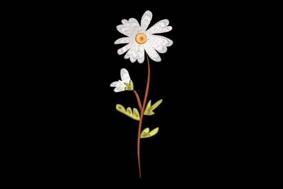 Beautiful Daisy Flower Review