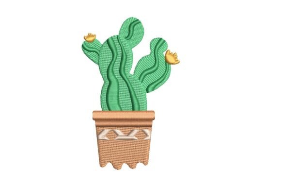 Funky Potted Cactus Review